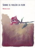 Sobre el Volcan La Flor
